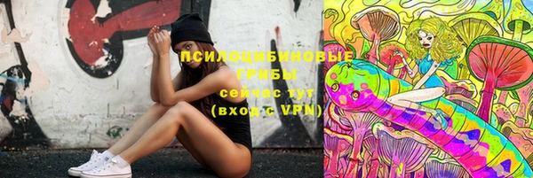 метадон Арсеньев