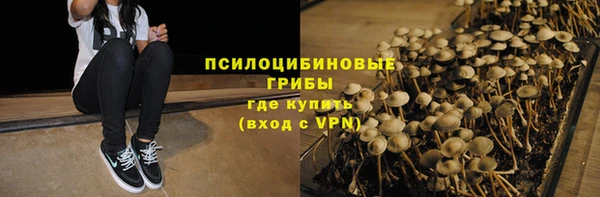 трава Армянск