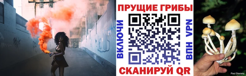 ОМГ ОМГ онион  Белая Калитва  Галлюциногенные грибы мицелий 